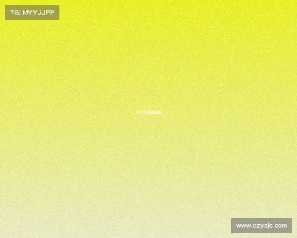 2019年国安主教练