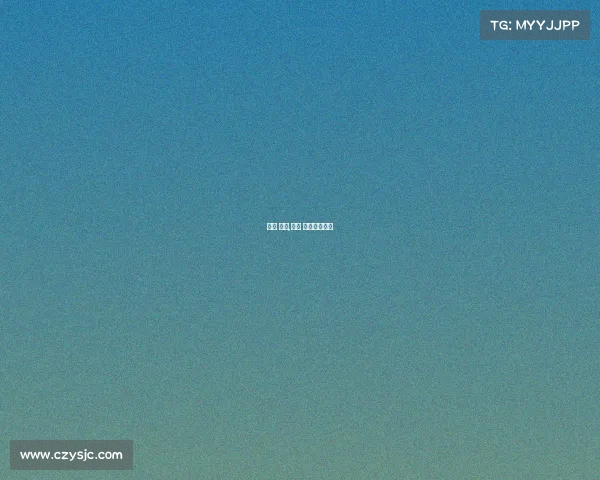 上海 赛事,上海 赛事导演工资