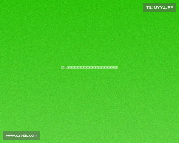 赛事ip是什么？—冠军杯全新赛季荣耀开启全球精英汇聚激情对决巅峰之夜热血沸腾